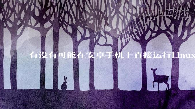有没有可能在安卓手机上直接运行Linux？