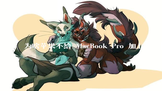 为啥苹果不给 MacBook Pro 加上这些特性？
