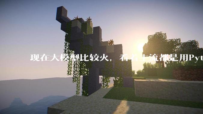 现在大模型比较火，看着主流都是用Python。那Spring AI会坚持到最后吗?